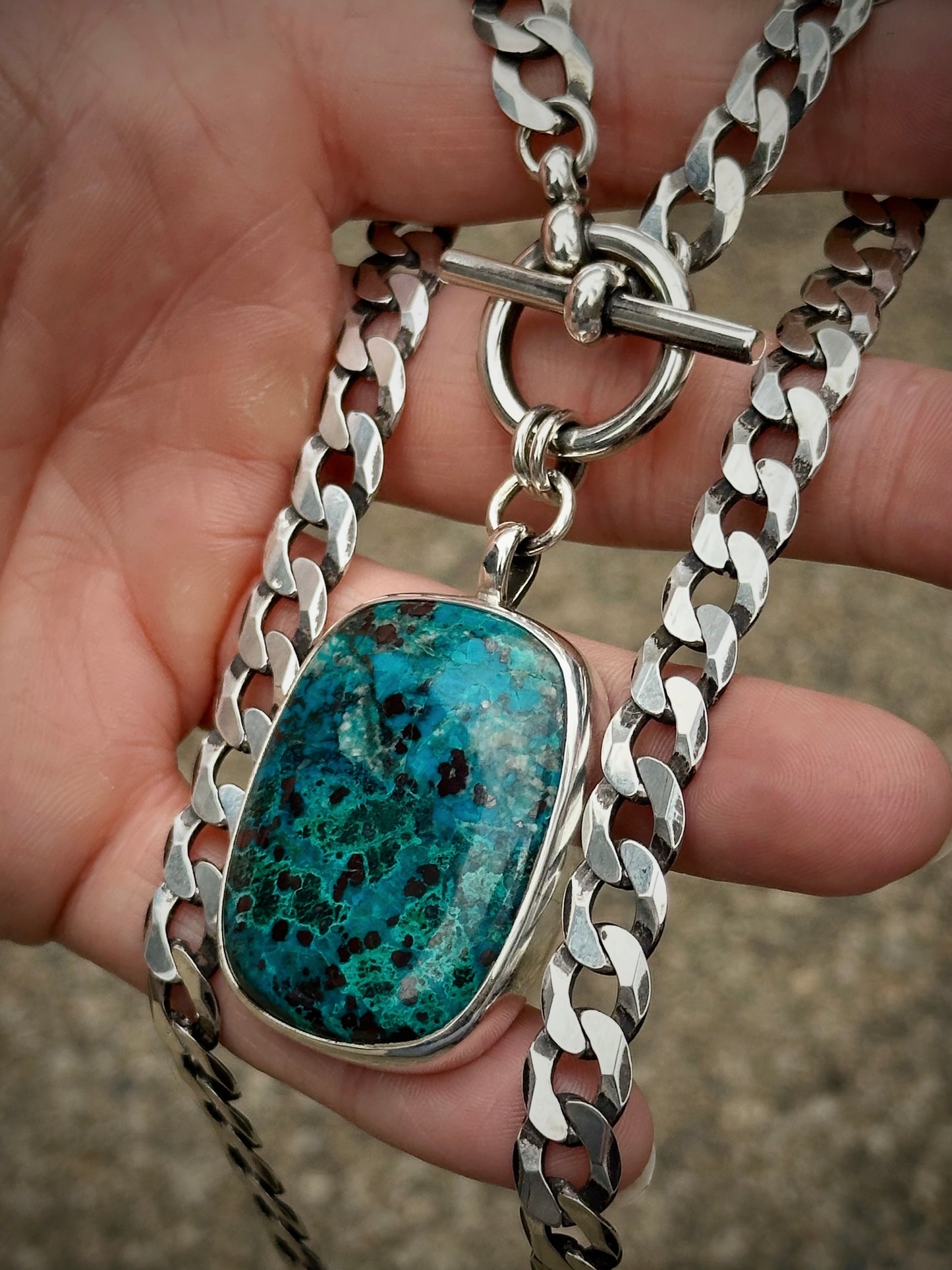 Curly Wolf Curb Chain + Toggle Necklace