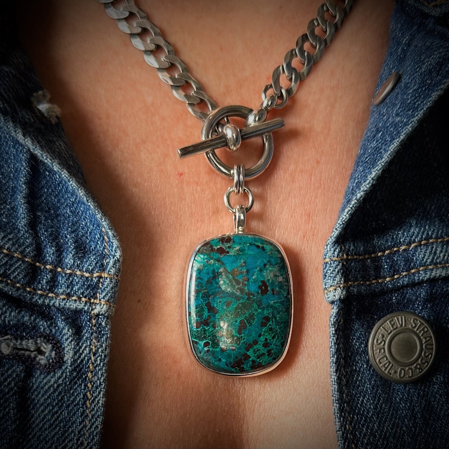 Curly Wolf Curb Chain + Toggle Necklace